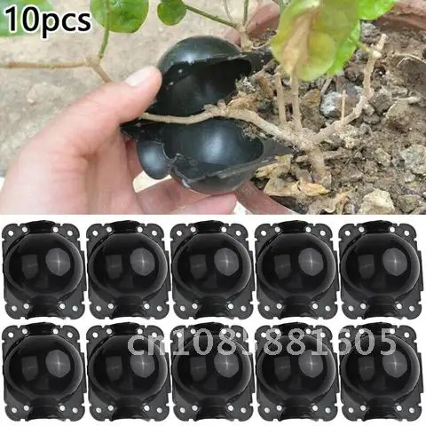 Plant Rooting Equipment 10 Pcs High Pressure Propagation Ball Growing Box Breeding Case For Garden Graft Box Sapling
Plant Rooting Equipment 10 Pcs High Pressure Propagation Ball Growing Box Breeding Case For Garden Graft Box Sapling