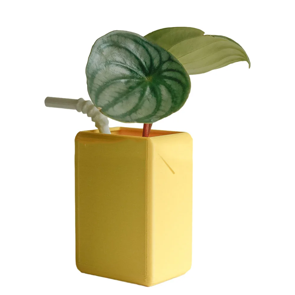 1pc Creative Mini Flowerpot Succulent Bonsai Pots Cute Green Plants Flower Pot Home Outdoor Garden Decoration
1pc Creative Mini Flowerpot Succulent Bonsai Pots Cute Green Plants Flower Pot Home Outdoor Garden Decoration