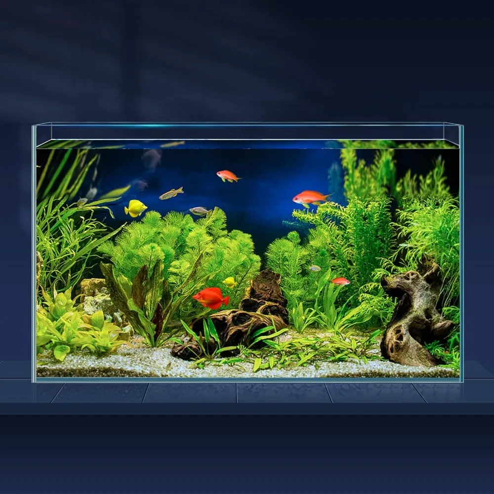 

10 Gallon Ultra Clear Glass Fish Tank, Rimless Low Iron Aquarium for Betta/Nano/Goldfish/Snail/Shrimp, Big Fish Tank & Cover