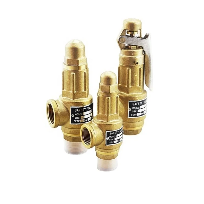 Spring full threaded connection brass gas lift air compressor pressure safety relief reducing valves
Spring full threaded connection brass gas lift air compressor pressure safety relief reducing valves