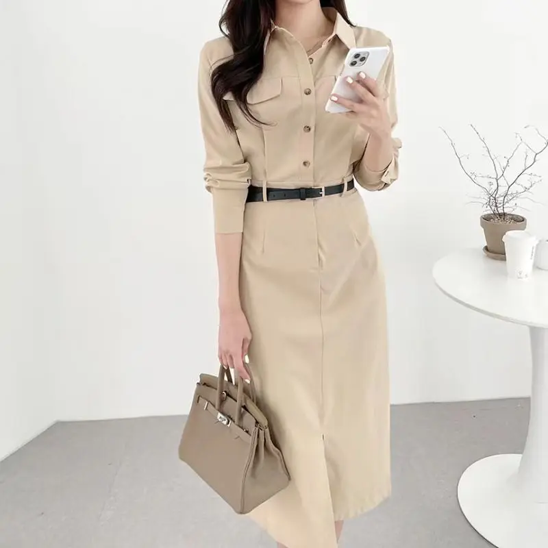 2024 Spring and Autumn New Women's Dress Commuter Leisure Professional Slim Fit A-line Skirt
2024 Spring and Autumn New Women's Dress Commuter Leisure Professional Slim Fit A-line Skirt