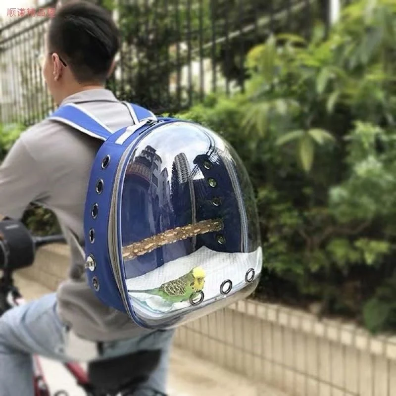 Sc197df481db54ffd8ce393239f65bb1aF