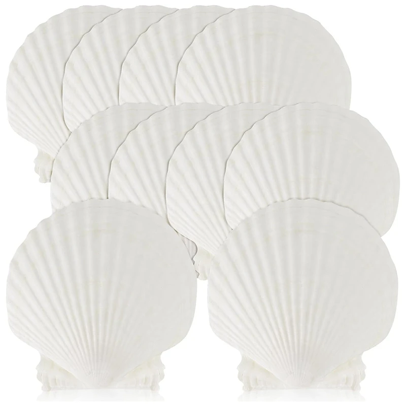 15 PCS Natural Sea Shell Large White, 4-4.7 Inch Scallop Shells For DIY Craft, Serving Food, Baking And More Easy To Use
15 PCS Natural Sea Shell Large White, 4-4.7 Inch Scallop Shells For DIY Craft, Serving Food, Baking And More Easy To Use