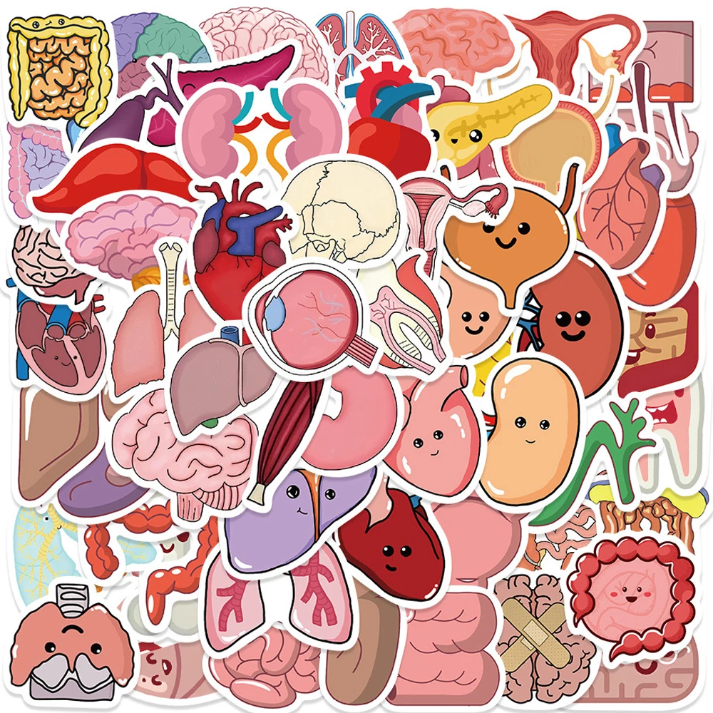 10/30/65pcs Heart Brain Human Organs Cartoon Stickers Decals Waterproof DIY Skateboard Phone Luggage Colorful Cute Sticker Packs
10/30/65pcs Heart Brain Human Organs Cartoon Stickers Decals Waterproof DIY Skateboard Phone Luggage Colorful Cute Sticker Packs