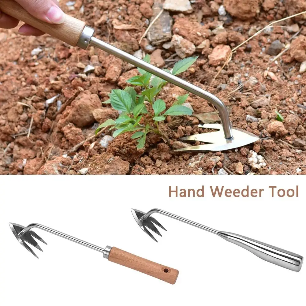 Garden Supplies Handheld Digging Tools Garden Hand Weeder Puller Manual Tool Hand Weeder Tool Weed Dandelion Remover
Garden Supplies Handheld Digging Tools Garden Hand Weeder Puller Manual Tool Hand Weeder Tool Weed Dandelion Remover