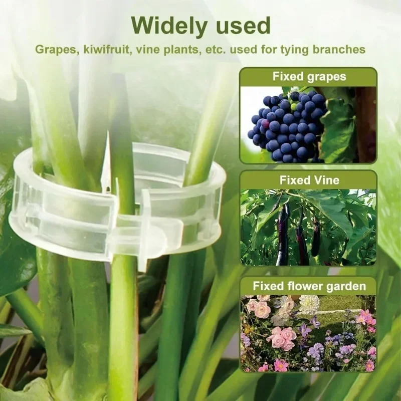 Tomato Vine Support Clips Sc23f099f0f9b41e68a2ea2e6060fd73ce