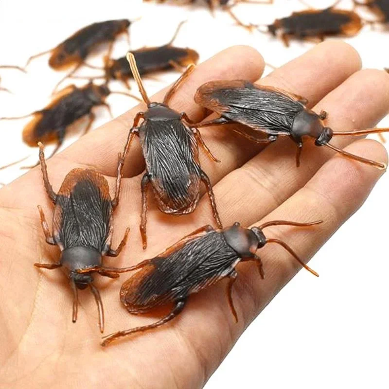 10Pcs Fake Roach Trick Joke Toys Halloween Simulation Cockroaches Prank Funny Lifelike Rubber Insect for Horrify Party
10Pcs Fake Roach Trick Joke Toys Halloween Simulation Cockroaches Prank Funny Lifelike Rubber Insect for Horrify Party
