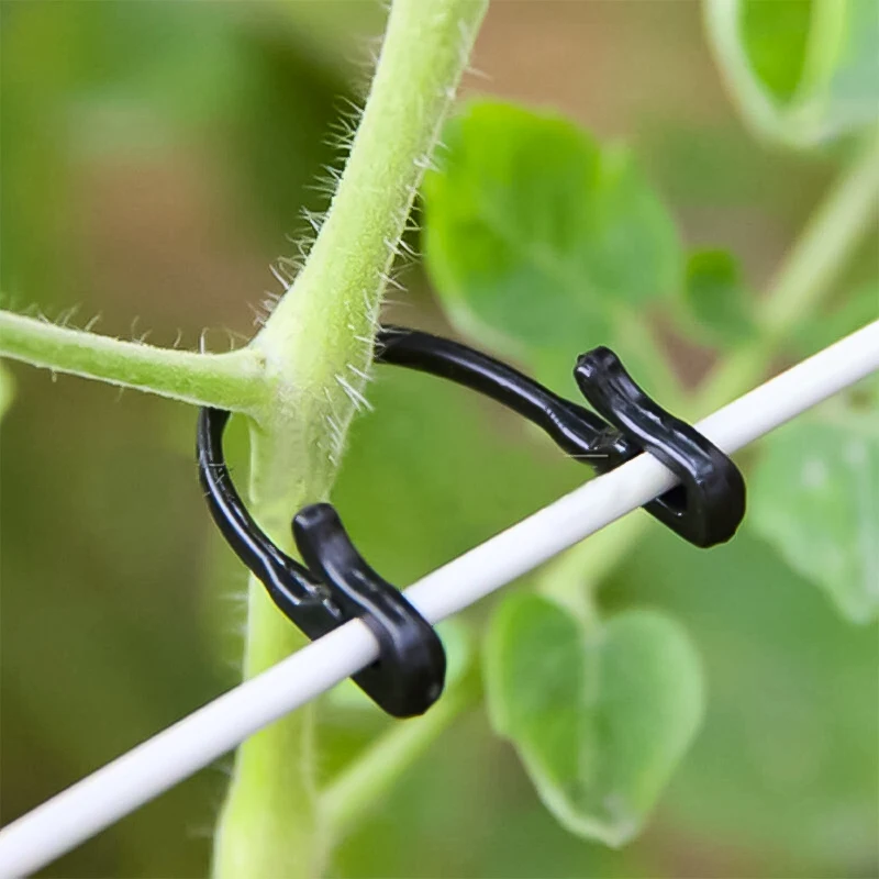 50pcs Grape Support Fixed Hooks VegetableTomato Branch Crops Self-Locking Fastener Tied Buckles Greenhouse Garden Supplies
50pcs Grape Support Fixed Hooks VegetableTomato Branch Crops Self-Locking Fastener Tied Buckles Greenhouse Garden Supplies