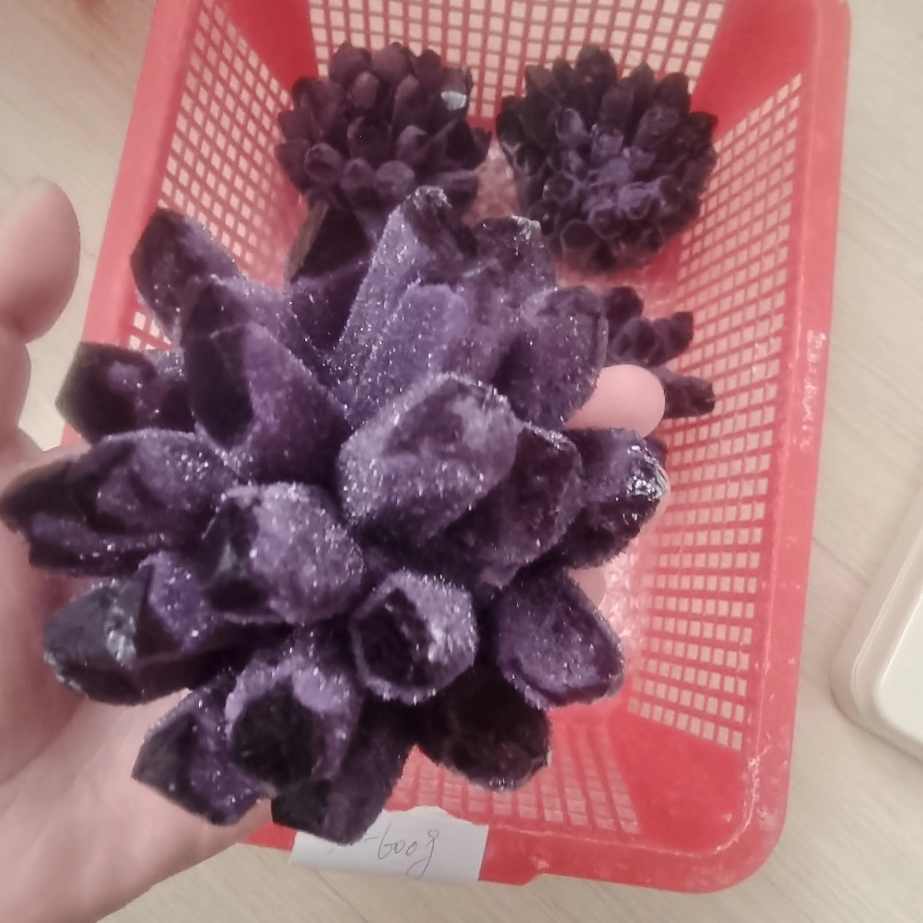 Natural Rare Purple Quartz Crystal Cluster Mineral Specimen Healing Spirit Energy Home Office Aquarium Decoration Gift
Natural Rare Purple Quartz Crystal Cluster Mineral Specimen Healing Spirit Energy Home Office Aquarium Decoration Gift