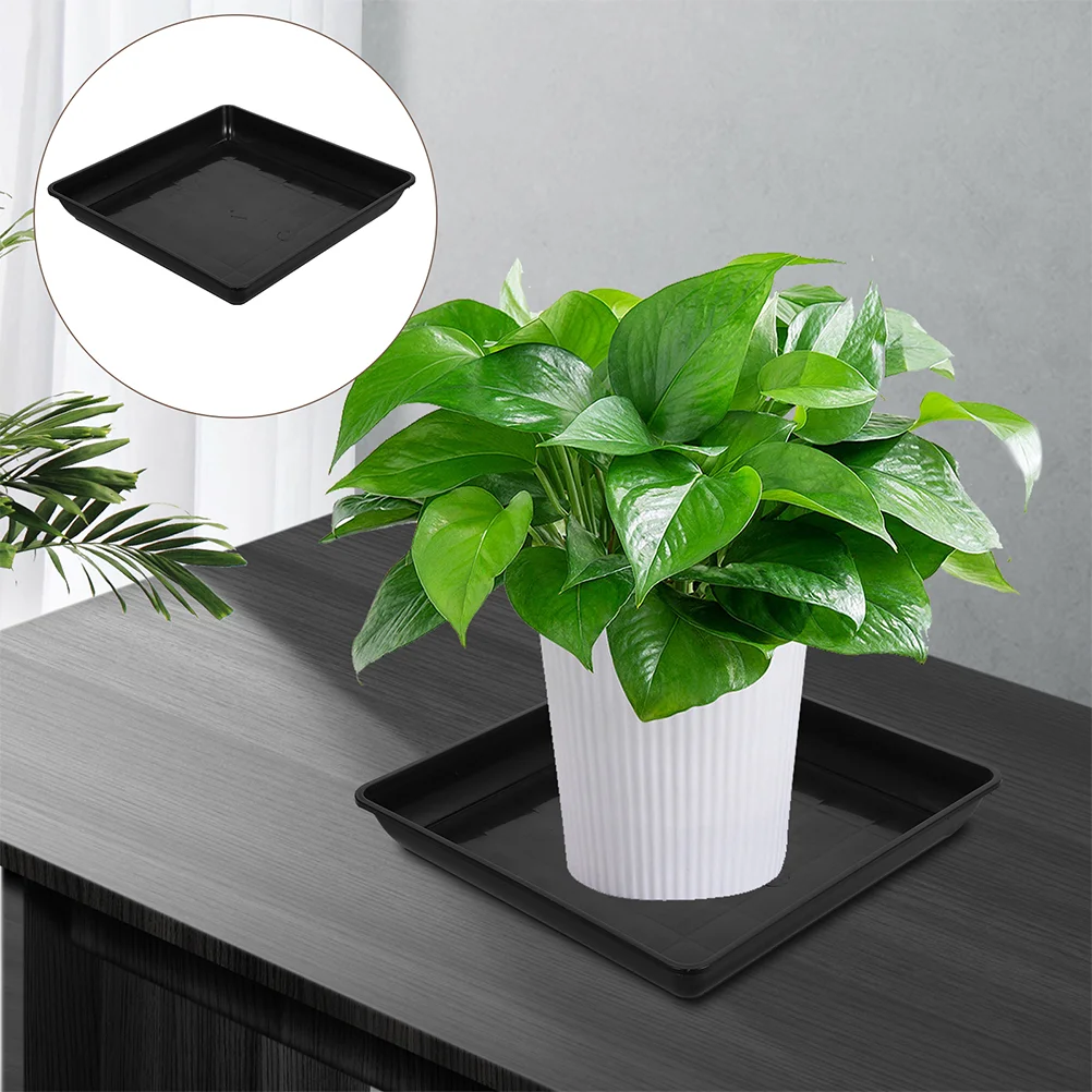 2 Pcs Flower Pot Base Potted Plant Trays Faceplate Thicken Saucer Plastic Planter Saucers for Plants Pp
2 Pcs Flower Pot Base Potted Plant Trays Faceplate Thicken Saucer Plastic Planter Saucers for Plants Pp