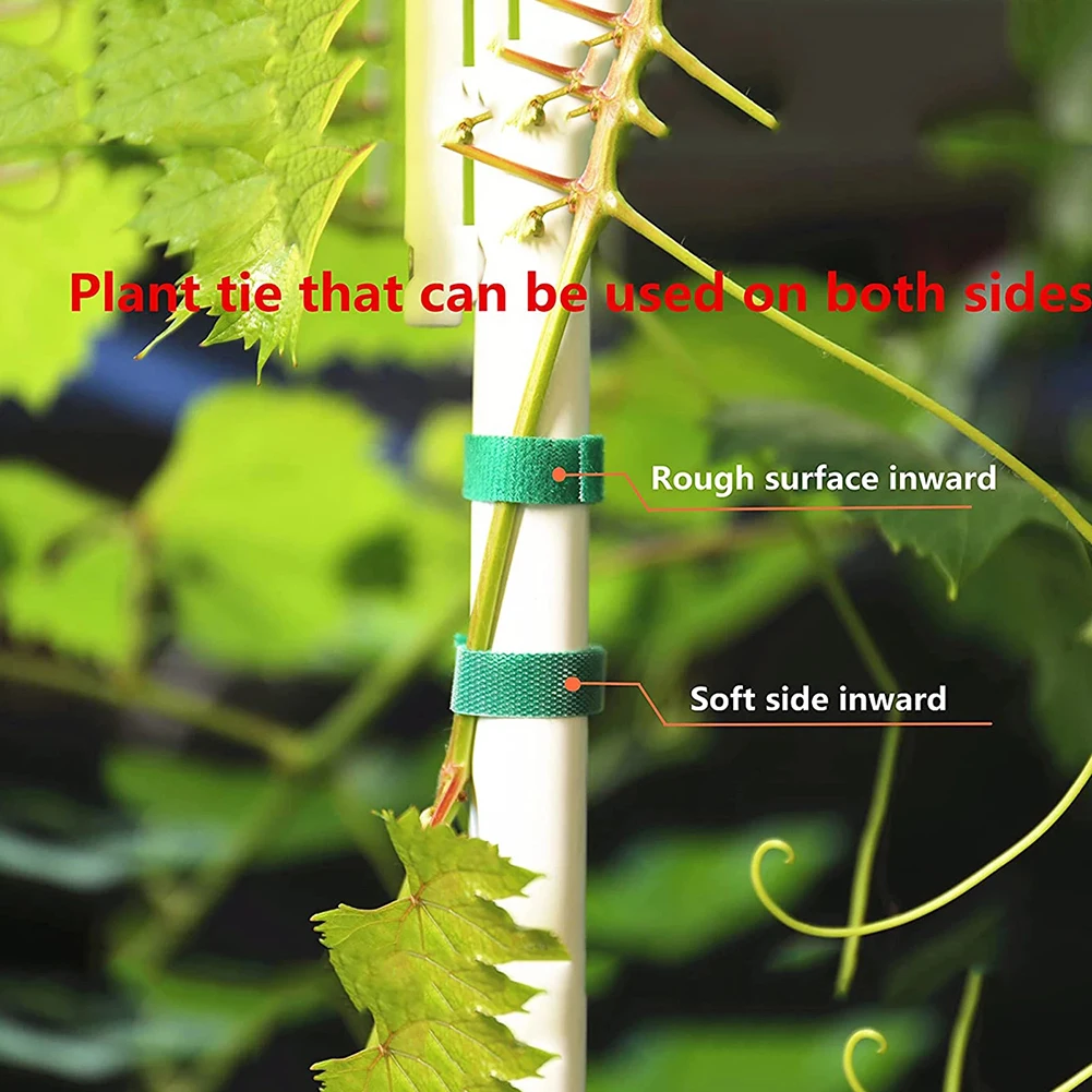 3 Rolls Plant Tie Tape Gardening Plant Ties Hook & Loop Plant Supports Bamboo Cane Wrap Support Tie Yard Gardening Supplies
3 Rolls Plant Tie Tape Gardening Plant Ties Hook & Loop Plant Supports Bamboo Cane Wrap Support Tie Yard Gardening Supplies
