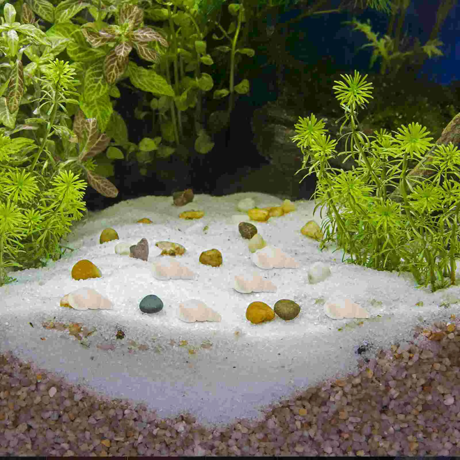 200 Pcs Conch Shell Crafts Aquarium Decoration Desktop Hermit Crab Shells Decorative Adorn Tabletop Fish Tank
200 Pcs Conch Shell Crafts Aquarium Decoration Desktop Hermit Crab Shells Decorative Adorn Tabletop Fish Tank