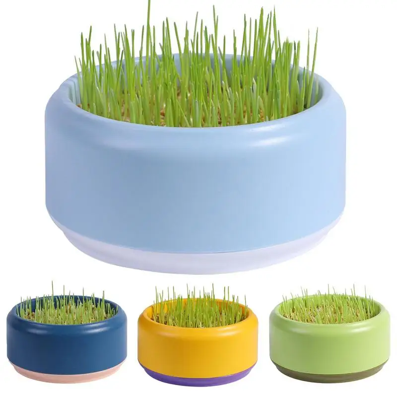 

Cat Grass Planter Hydroponic Plants Greenhouse Growing Kit Plant Bowl Digestion Meal Dish Garden Products And Supplies