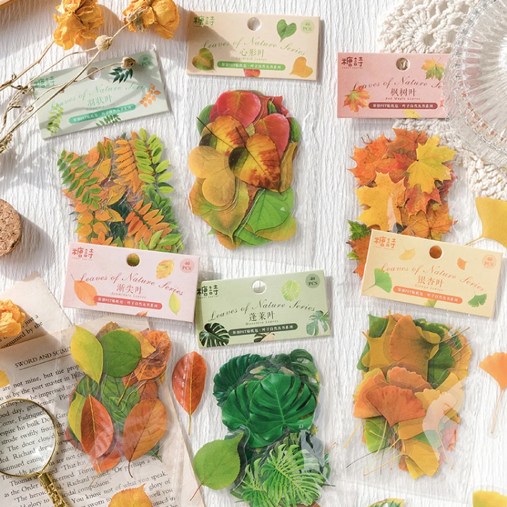 6 стилей, 40 шт./сумка, винтажные фотообои, эстетические растения, материал для руководства «сделай сам», декоративные канцелярские наклейки
6 стилей, 40 шт./сумка, винтажные фотообои, эстетические растения, материал для руководства «сделай сам», декоративные канцелярские наклейки