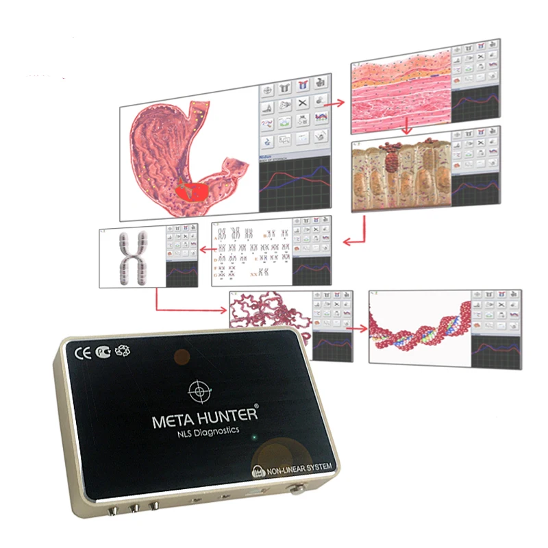2023 Turkish language bio resonance device Hunter 4025 nls health analyzer meta metatron hunter machine with chakra
2023 Turkish language bio resonance device Hunter 4025 nls health analyzer meta metatron hunter machine with chakra