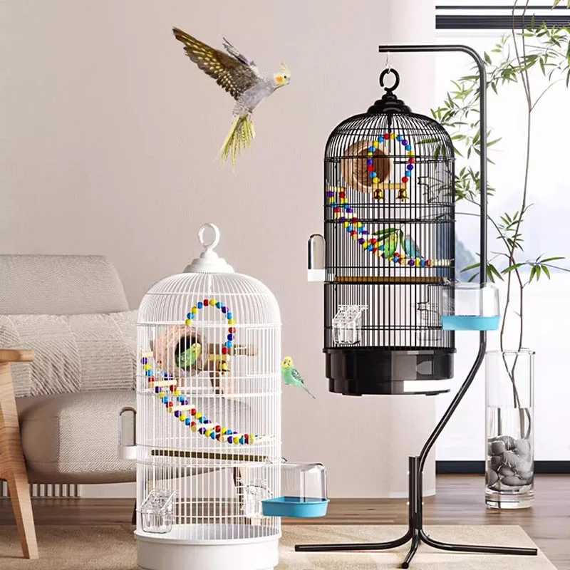 Nests Cockatiel Bird Cages Nests Perch Accessories Animal Breeding Aviary Carrier Bird Cages Acrylic Pour Oiseaux Home Products
Nests Cockatiel Bird Cages Nests Perch Accessories Animal Breeding Aviary Carrier Bird Cages Acrylic Pour Oiseaux Home Products