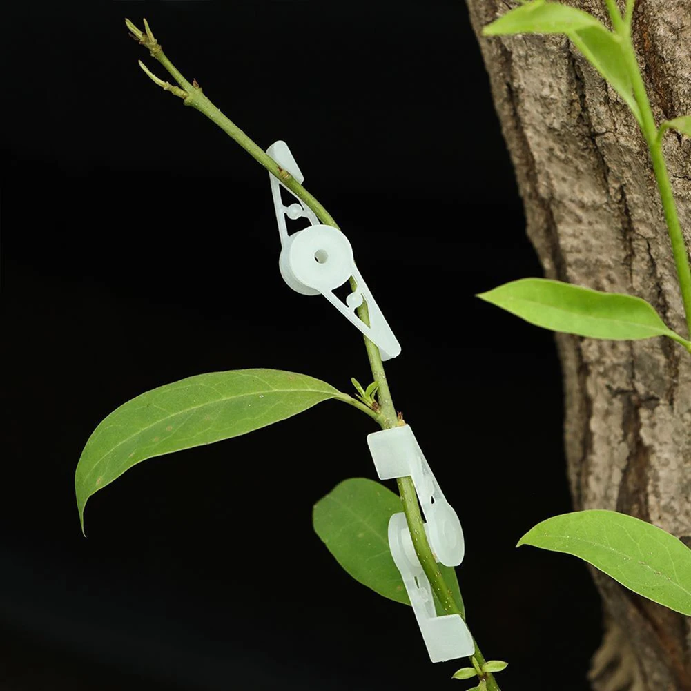 Tool Plant Branch Bender 20pcs 4*1cm/1.57* 0.4 Inch Clips Control The Growth Low Stress High-quality PP Brand New
Tool Plant Branch Bender 20pcs 4*1cm/1.57* 0.4 Inch Clips Control The Growth Low Stress High-quality PP Brand New