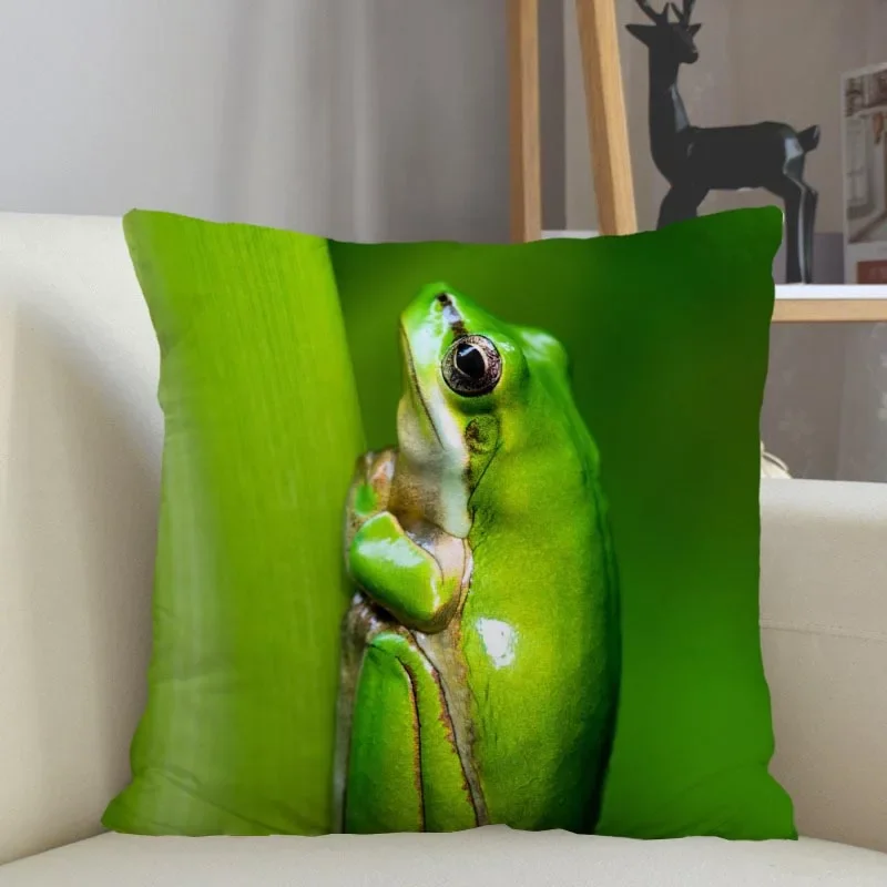 Custom Frog Animal Pillowcase Home Decoration 45x45cm Zipper Square Pillowcase Throw Pillow Cover Drop Shipping
Custom Frog Animal Pillowcase Home Decoration 45x45cm Zipper Square Pillowcase Throw Pillow Cover Drop Shipping