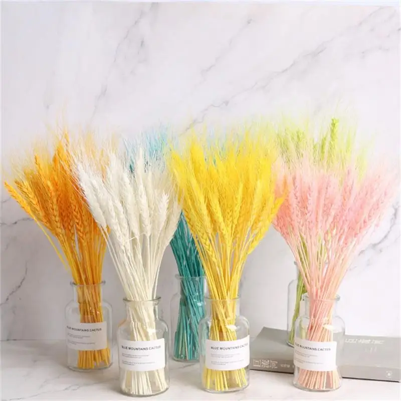 Real Wheat Ear Flower Natural Dried Flowers Table Bed Room Aesthetic Decoration Bonsai Tree Plant Pot Vines
Real Wheat Ear Flower Natural Dried Flowers Table Bed Room Aesthetic Decoration Bonsai Tree Plant Pot Vines