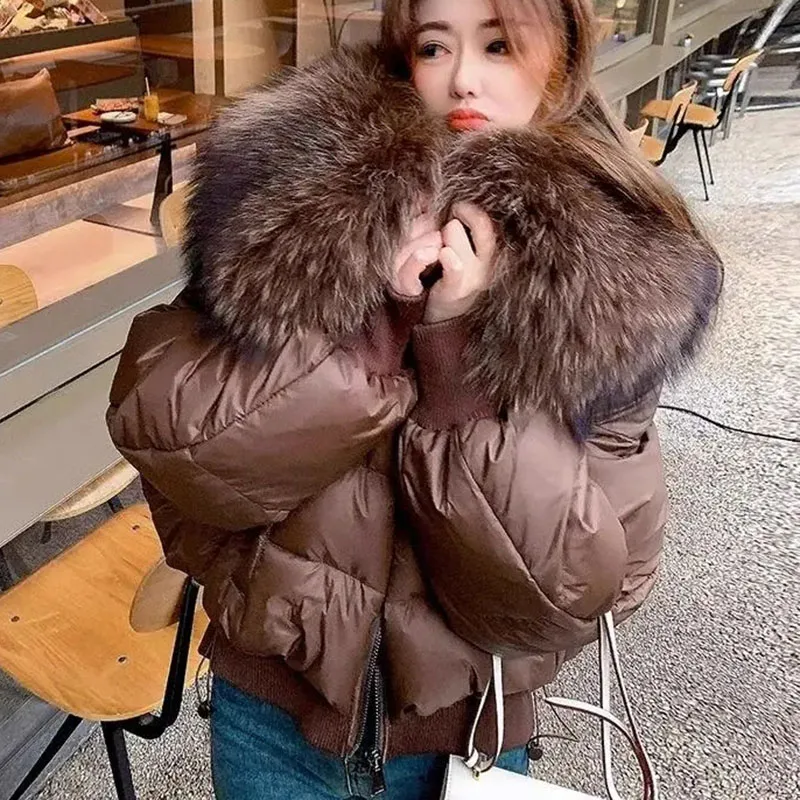 Big Fur Collar Warm Parkas Women 2024 Korean Loose Short Women's Winter Jacket Thicken Cotton Padded Coat Female Puffy Jacket
Big Fur Collar Warm Parkas Women 2024 Korean Loose Short Women's Winter Jacket Thicken Cotton Padded Coat Female Puffy Jacket