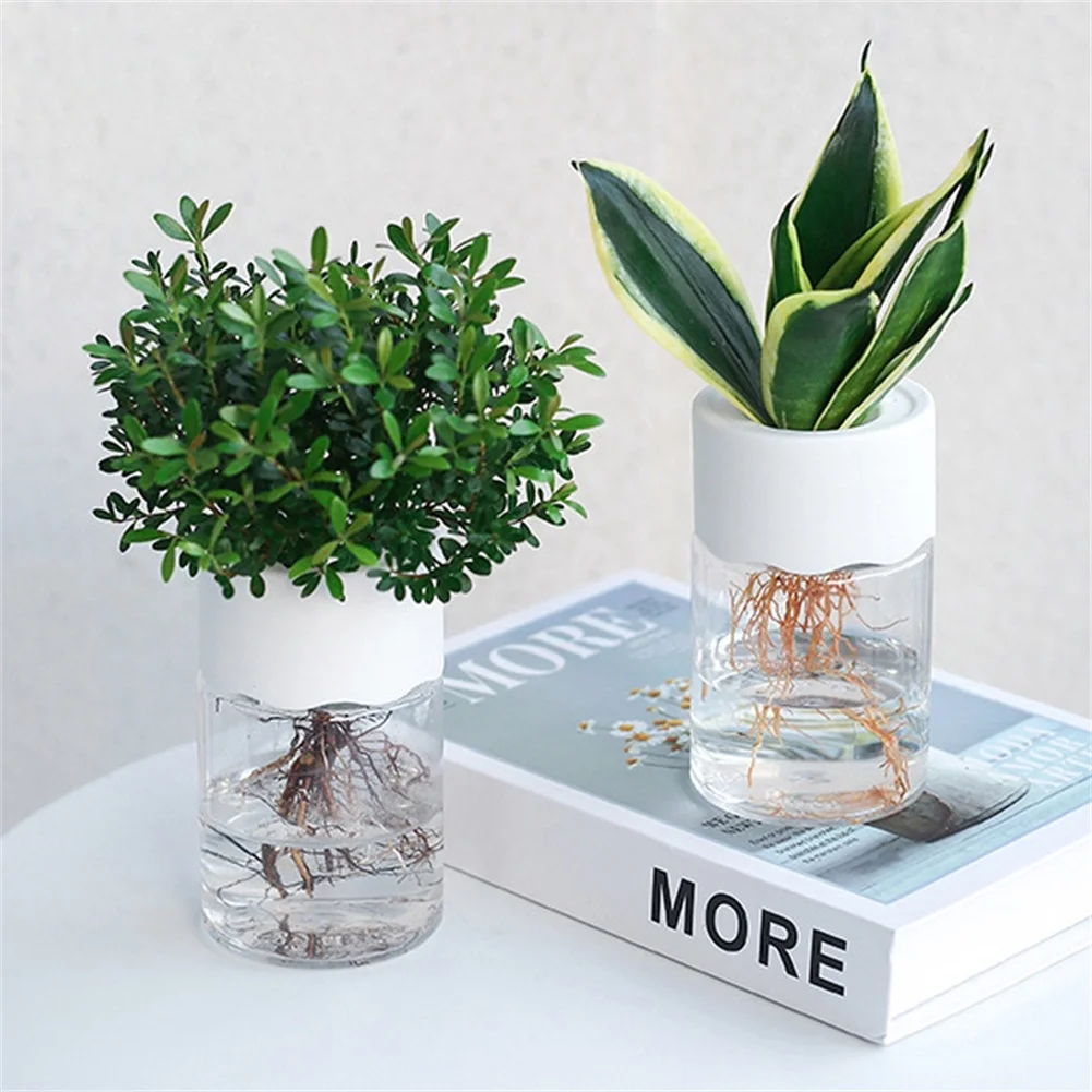 1pcs PET Plastic Hydroponic Plant Pots Water Planting Vase Plastic Transparent Stylish Container Tabletop Plants Bonsai
1pcs PET Plastic Hydroponic Plant Pots Water Planting Vase Plastic Transparent Stylish Container Tabletop Plants Bonsai