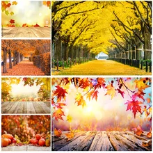 Natural Scenery Photography Background Fall Leaves Forest Landscape Travel Photo Backdrops Studio Props 211224 QQTT-04
Natural Scenery Photography Background Fall Leaves Forest Landscape Travel Photo Backdrops Studio Props 211224 QQTT-04