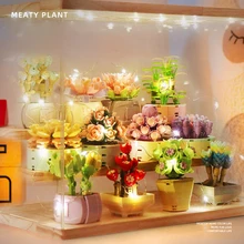 DIY Potted Plant Succulent Cactus Gypsophila Bonsai Tree Garden Romantic Desktop Decoration Building Blocks Model Children's Toy
DIY Potted Plant Succulent Cactus Gypsophila Bonsai Tree Garden Romantic Desktop Decoration Building Blocks Model Children's Toy