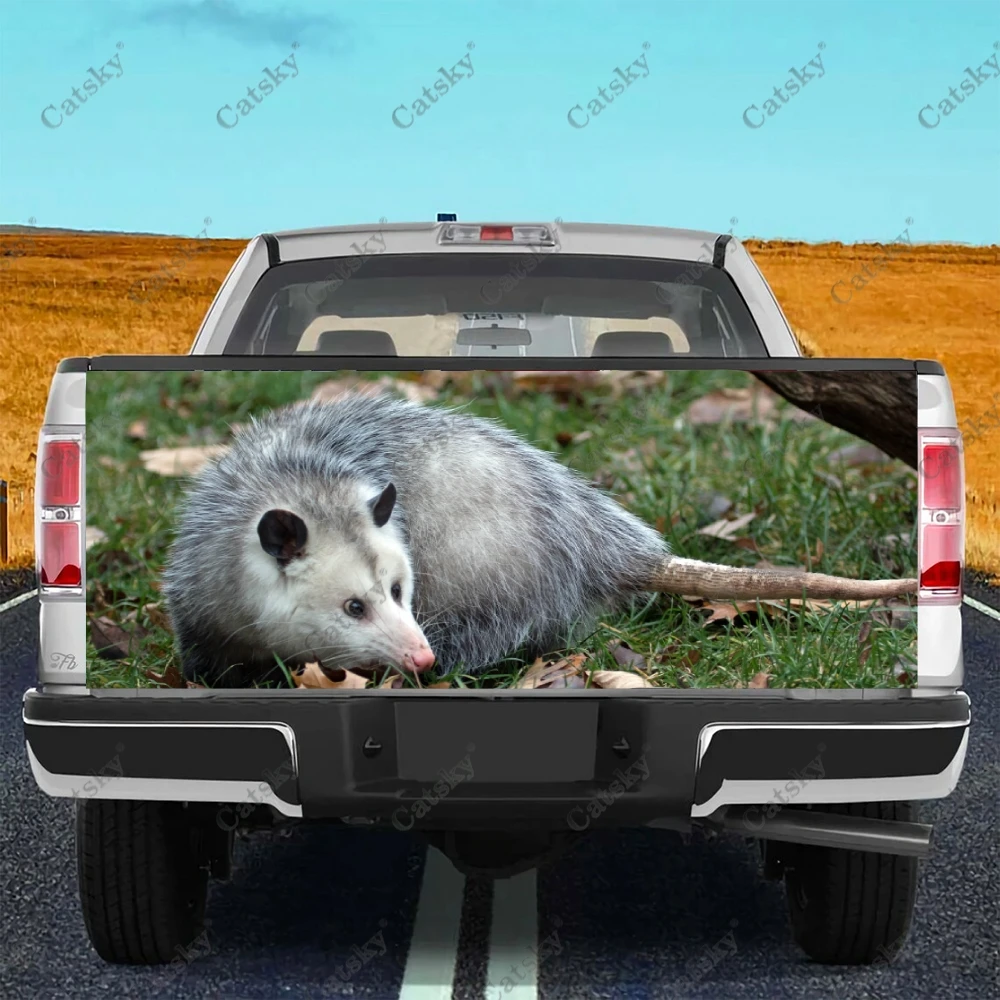 Opossum, наклейка для автомобиля в виде животного, модификация внешнего вида, подходит для аксессуаров, универсальные наклейки
Opossum, наклейка для автомобиля в виде животного, модификация внешнего вида, подходит для аксессуаров, универсальные наклейки