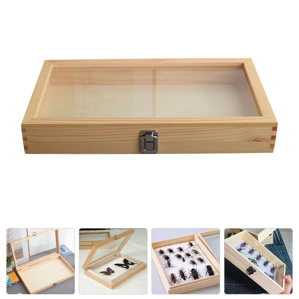 Insect Display Case Wooden Butterflies Specimen Display Box Durable Vintage Specimen Case with Dustproof Transparent Cover
Insect Display Case Wooden Butterflies Specimen Display Box Durable Vintage Specimen Case with Dustproof Transparent Cover