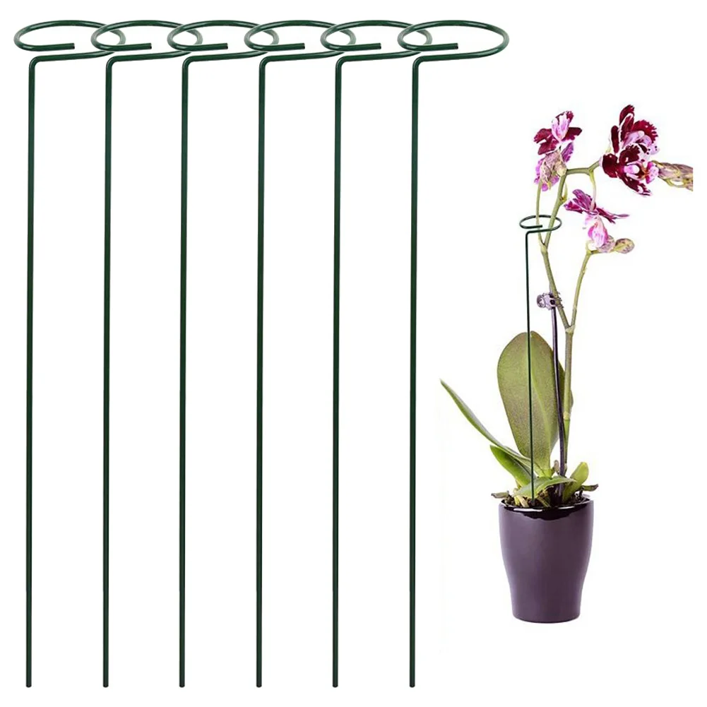6pcs Plant Stakes For Flowers Single Stem Plant Support For Climbing Plant Garden Orchid Lily Peony Rose Flower Stem
6pcs Plant Stakes For Flowers Single Stem Plant Support For Climbing Plant Garden Orchid Lily Peony Rose Flower Stem