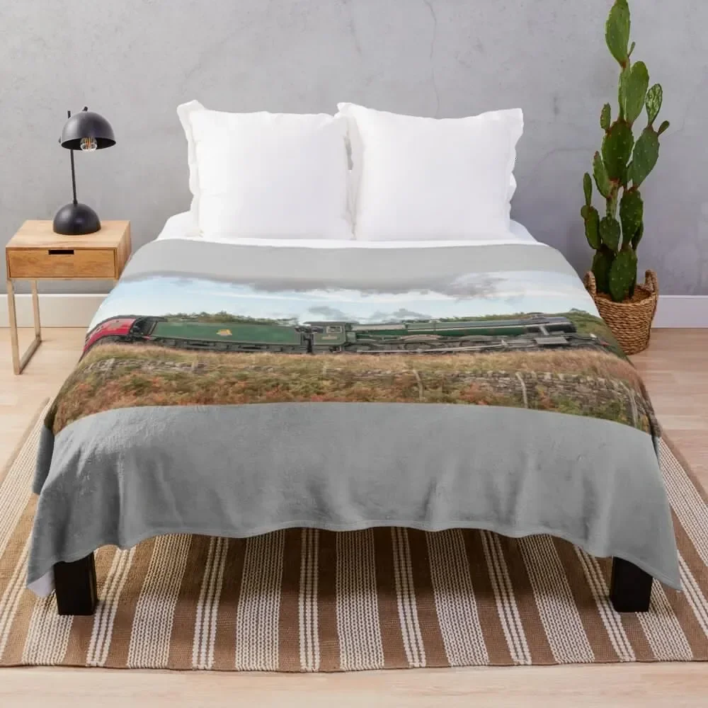 Witherslack Hall Number 6990 Throw Blanket Sleeping Bag valentine gift ideas Large blankets and throws Blankets
Witherslack Hall Number 6990 Throw Blanket Sleeping Bag valentine gift ideas Large blankets and throws Blankets