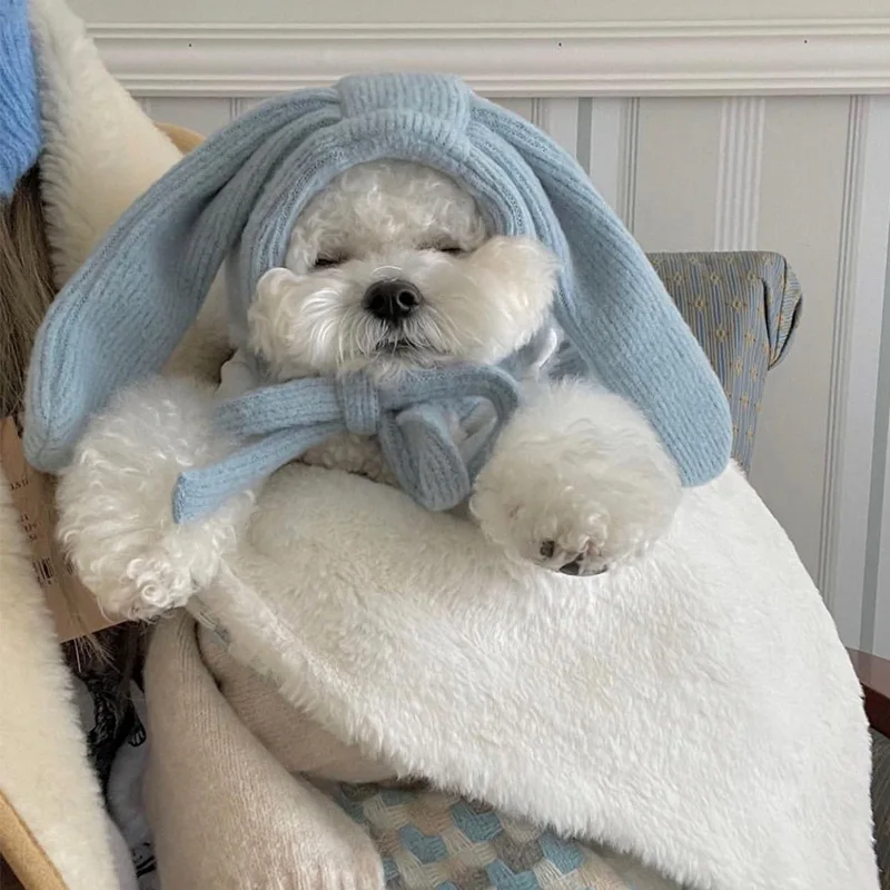 Cute And Sweet Winter Outfits For Dogs Cute And Sweet Winter Outfits For Dogs
