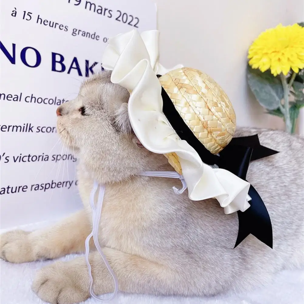 Cat Hat Pet Headgear Comfortable Elegant Ruffled Edge Camellia Flower Hat Cat Dog Bowknot Sun Straw Hat Pet Accessories
Cat Hat Pet Headgear Comfortable Elegant Ruffled Edge Camellia Flower Hat Cat Dog Bowknot Sun Straw Hat Pet Accessories