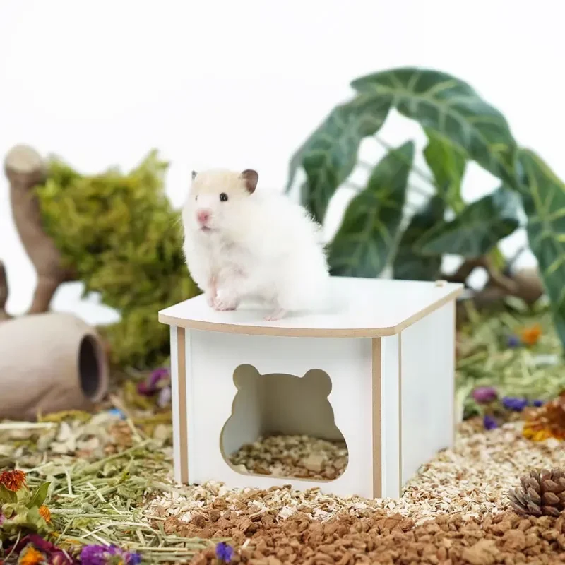 Hamster Small House Single Bedroom Escape Toy Nest Landscaping Supplies Guinea Pig Wooden House for Small Animals Pet Products
Hamster Small House Single Bedroom Escape Toy Nest Landscaping Supplies Guinea Pig Wooden House for Small Animals Pet Products