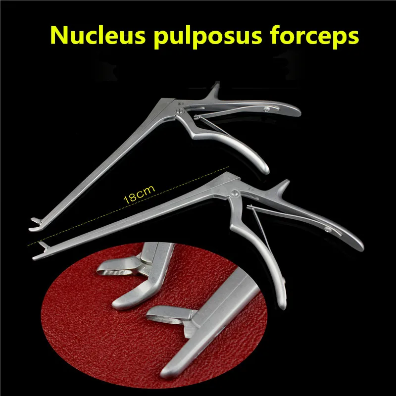medical 18cm Straight curved Nucleus pulposus forceps Nucleus pulposus clamp Bone scissors Veterinary orthopedics Instrument
medical 18cm Straight curved Nucleus pulposus forceps Nucleus pulposus clamp Bone scissors Veterinary orthopedics Instrument