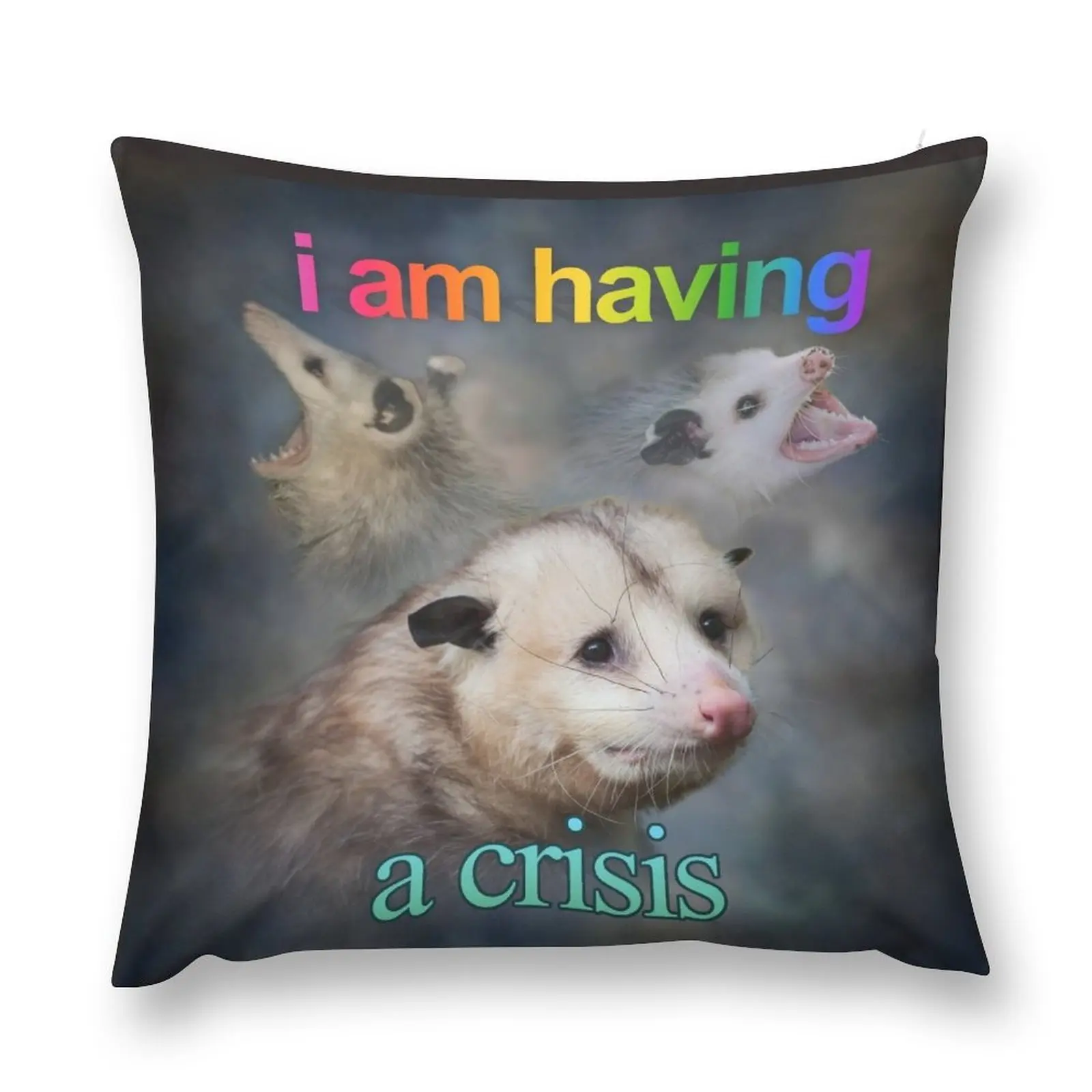 I am having a crisis possum word art Throw Pillow Cusions Cover Christmas Pillows
I am having a crisis possum word art Throw Pillow Cusions Cover Christmas Pillows