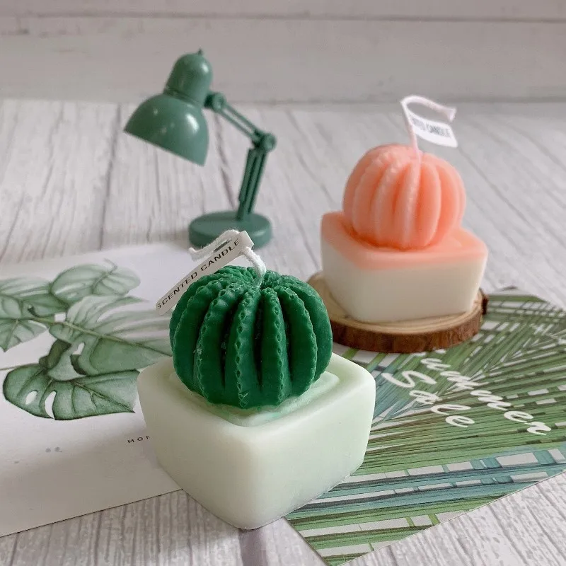 DIY Succulent Cactus Scented Candle Molds Cute Simulation Plant Aromatherapy Candle Home Decor Crafts Handmade Fragrance Ornamen
DIY Succulent Cactus Scented Candle Molds Cute Simulation Plant Aromatherapy Candle Home Decor Crafts Handmade Fragrance Ornamen