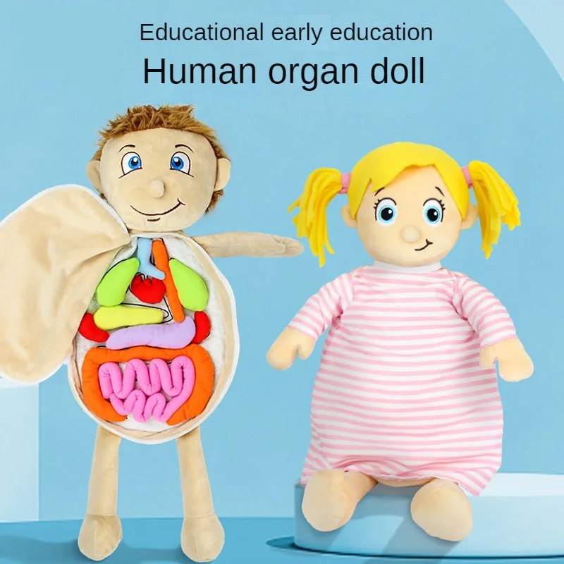 

Ultimate Brain-Boosting Baby Cognitive Toys: Unveil the Fascinating Puzzl Of Human Organs with Body Structure Puzzle
