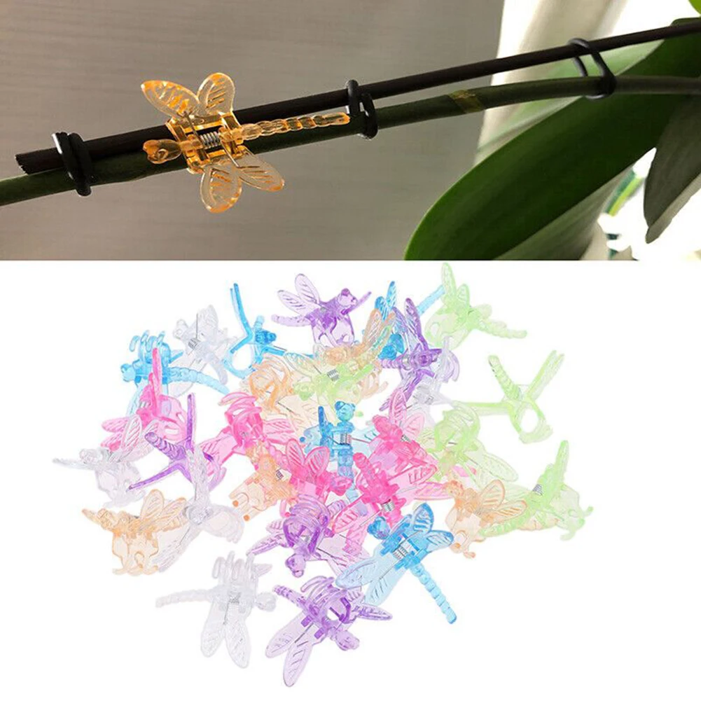 Rack Clamps Vine Fix Clip Dragonfly Orchid Yard 30pcs Colorful Flower Garowing Outdoor Plant Plastic Stand Support
Rack Clamps Vine Fix Clip Dragonfly Orchid Yard 30pcs Colorful Flower Garowing Outdoor Plant Plastic Stand Support