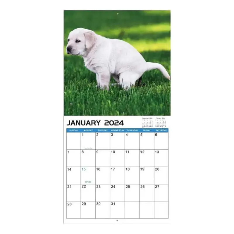 Dogs Pooping Calendar Dog Nature Calls Monthly Calendar Funny Wall Art Gag Humor Gift Prank Calendar January 2024 From December
Dogs Pooping Calendar Dog Nature Calls Monthly Calendar Funny Wall Art Gag Humor Gift Prank Calendar January 2024 From December