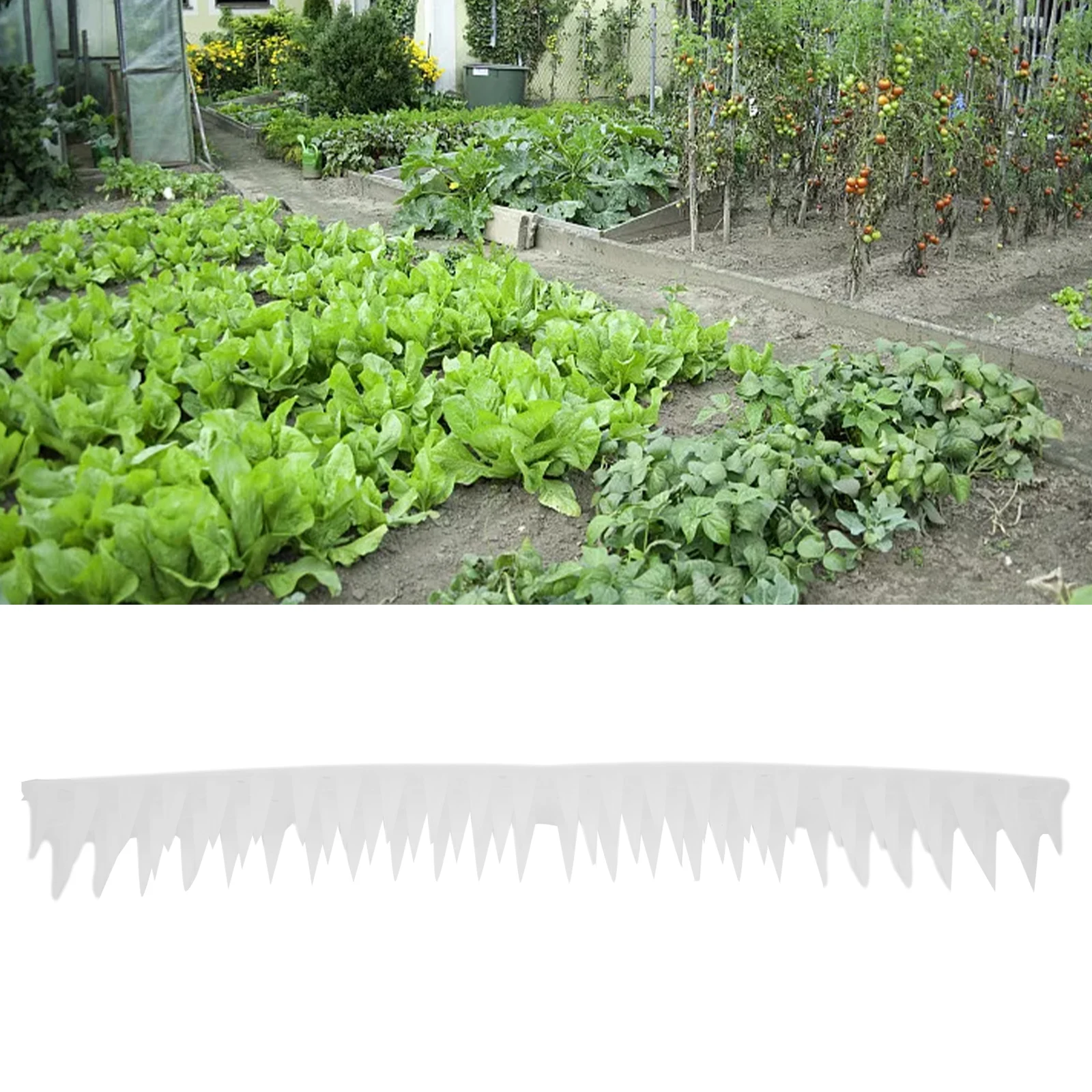Anti-bird Thorn Bird Spikes High Long PP Against Birds Anti Climb Cat Deterrent Pigeon Deterrent Bird Deterrent
Anti-bird Thorn Bird Spikes High Long PP Against Birds Anti Climb Cat Deterrent Pigeon Deterrent Bird Deterrent