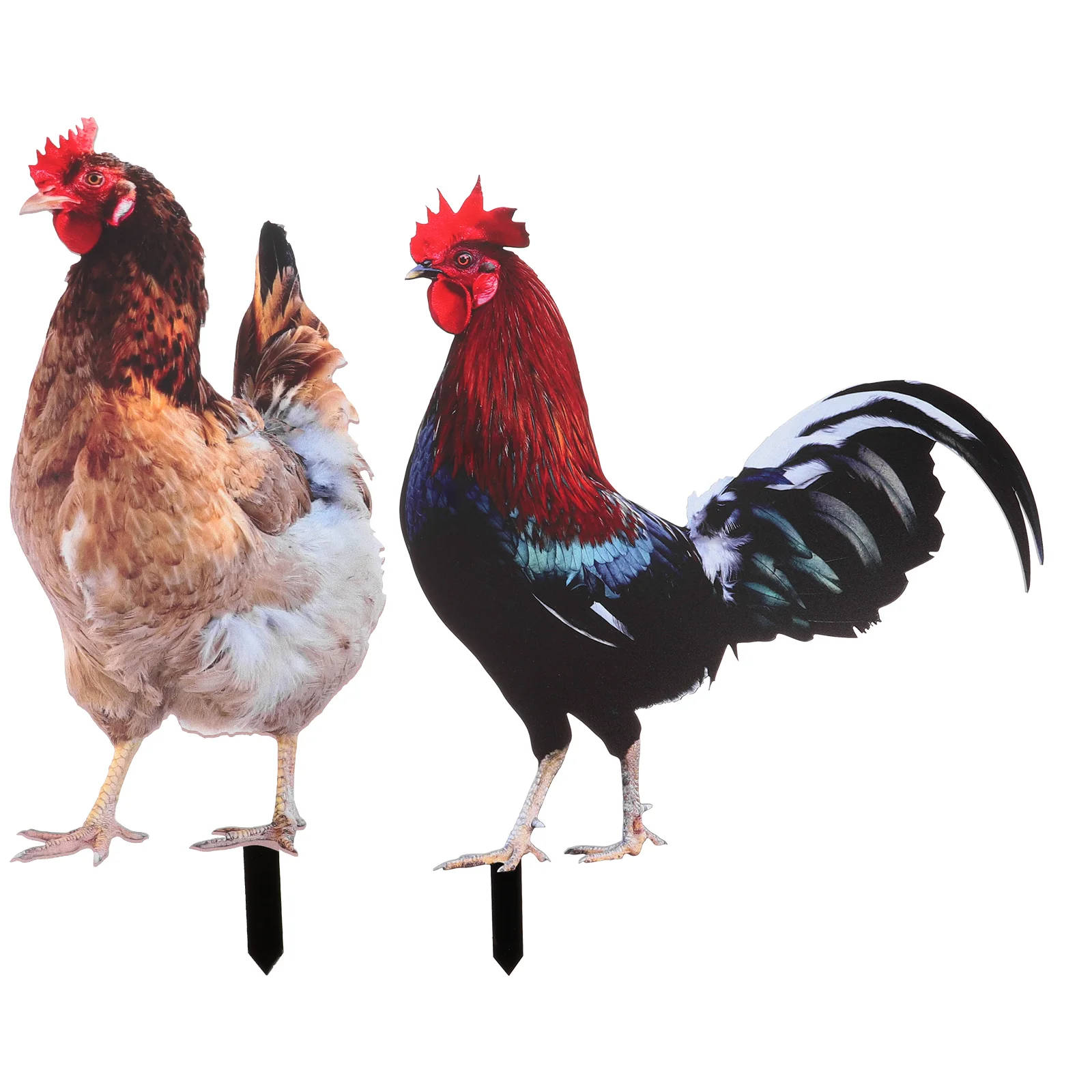 Rooster Garden Stakes Acrylic Chick Signs Outdoor Hen Statue Chicken Yard Art Sculpture Ground Insert Ornament Backyard Patio
Rooster Garden Stakes Acrylic Chick Signs Outdoor Hen Statue Chicken Yard Art Sculpture Ground Insert Ornament Backyard Patio