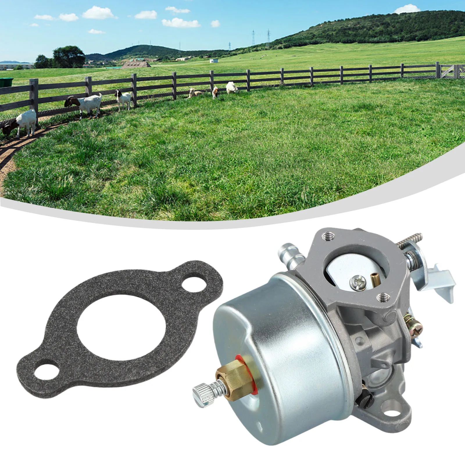 Карбюратор 632230 632272 карб для Tecumseh 5HP 6HP H30 H50 H60 HH60 632076 двигатель садовые инструменты аксессуары
Карбюратор 632230 632272 карб для Tecumseh 5HP 6HP H30 H50 H60 HH60 632076 двигатель садовые инструменты аксессуары