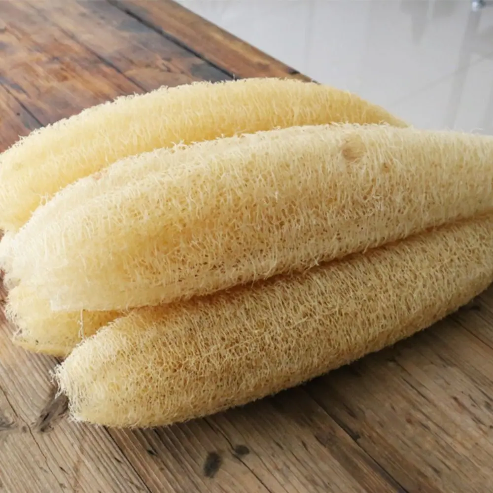 Esponja de lufa natural larga ecológica para lavar platos, antiadherente, con buena absorción, cepillo para ollas, baño y cocina. 31 Venta de cadena de bolas online Sc8824a78bff34e798243179d7b1e1c59i Venta de cadena de bolas online