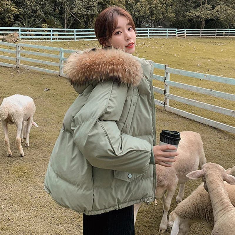 Rimocy Chic Winter Fur Collar Parkas for Women 2023 Fashion Stand Collar Warm Puffy Coats Woman Pocket Hooded Down Jacket Female
Rimocy Chic Winter Fur Collar Parkas for Women 2023 Fashion Stand Collar Warm Puffy Coats Woman Pocket Hooded Down Jacket Female