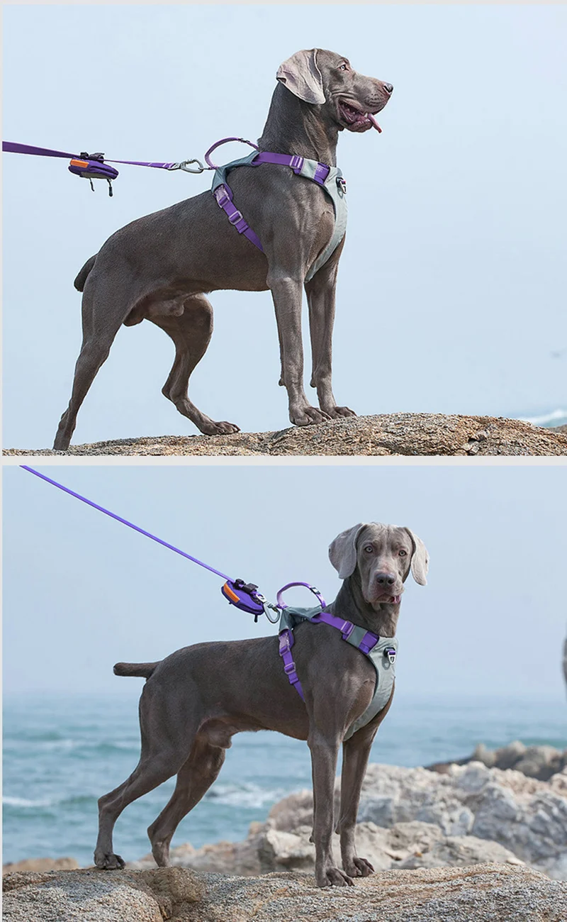 Sc8b62205a2c94bc0af02bb419b2a75300