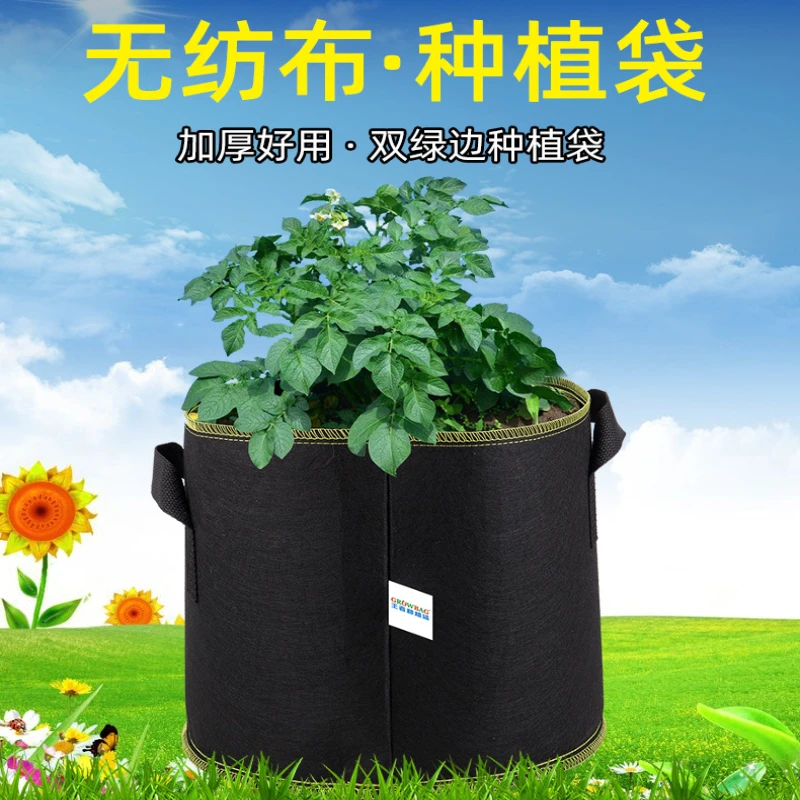 Felt plant planting growth bag indoor flower, fruit and vegetable planting non-woven
Felt plant planting growth bag indoor flower, fruit and vegetable planting non-woven