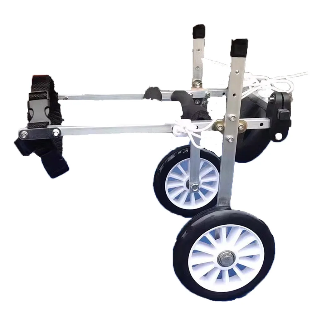 Dog Disability Wheelchair Disability Dog Rear Leg Booster Two Wheeled Car Dog Rehabilitation Auxiliary Exercise Hind Leg Bracket
Dog Disability Wheelchair Disability Dog Rear Leg Booster Two Wheeled Car Dog Rehabilitation Auxiliary Exercise Hind Leg Bracket
