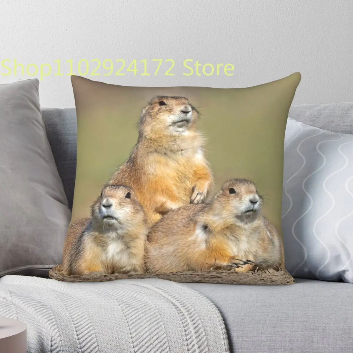 Three Prairie Dogs Square Pillowcase Polyester Creative Zip Decor Throw Pillow Case Sofa Seater Cushion Case 45x45
Three Prairie Dogs Square Pillowcase Polyester Creative Zip Decor Throw Pillow Case Sofa Seater Cushion Case 45x45