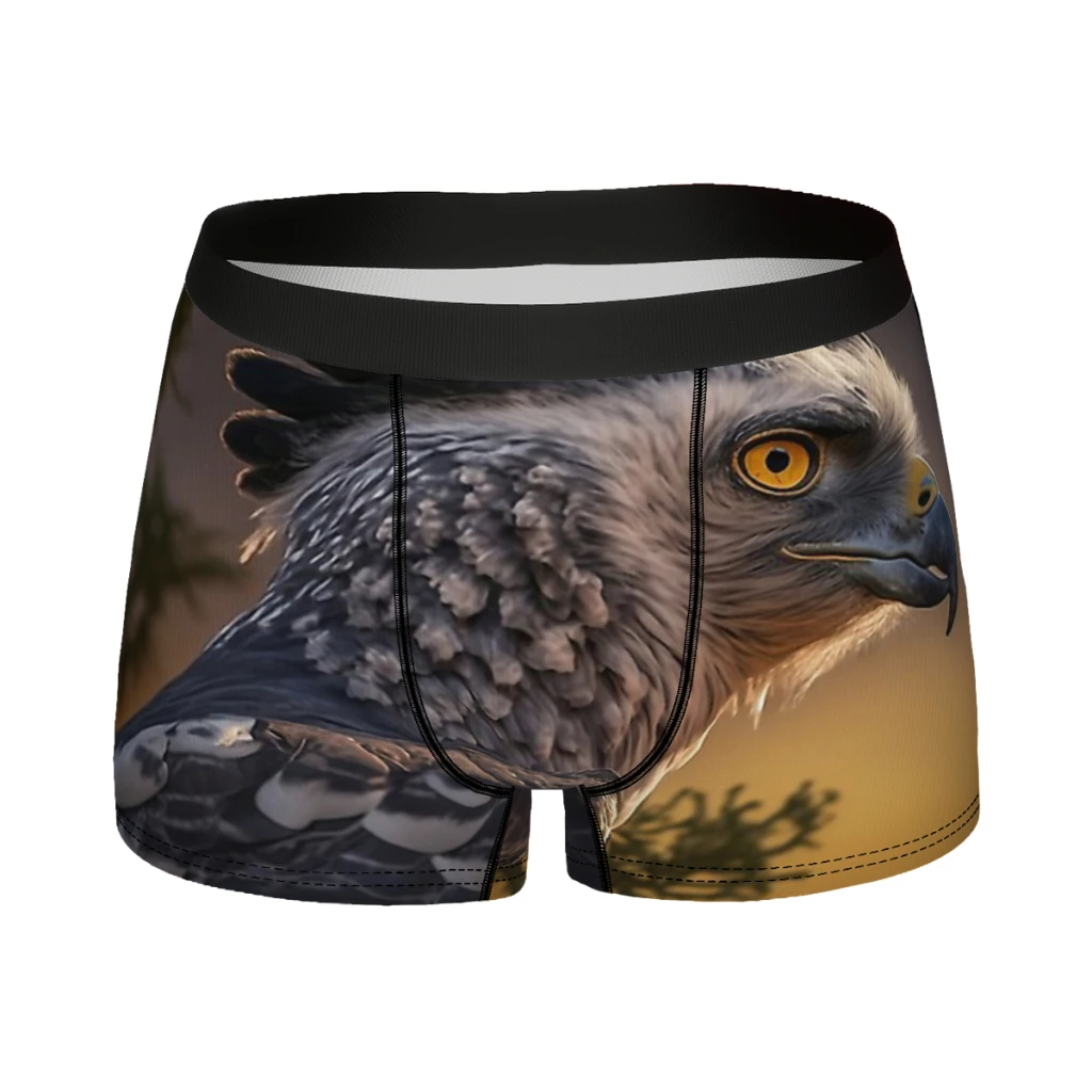 Harpy Eagle Man's Boxer Briefs Underpants Wildlife Photography Highly Breathable High Quality Sexy Shorts Gift Idea
Harpy Eagle Man's Boxer Briefs Underpants Wildlife Photography Highly Breathable High Quality Sexy Shorts Gift Idea